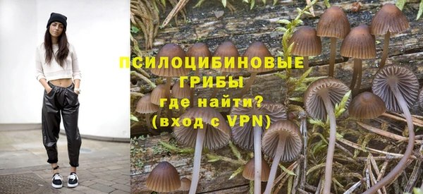сатива Касимов