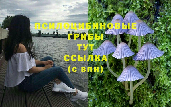 сатива Касимов