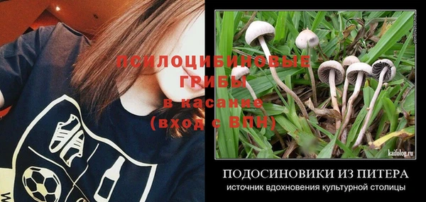 тгк Каменск-Шахтинский