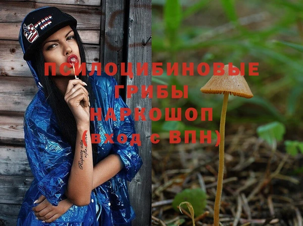 амфетамин Каменногорск
