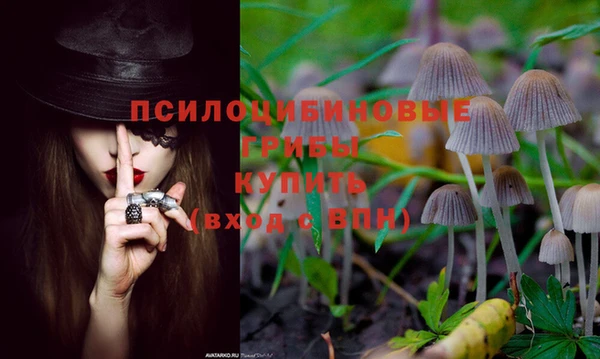 скорость Карпинск