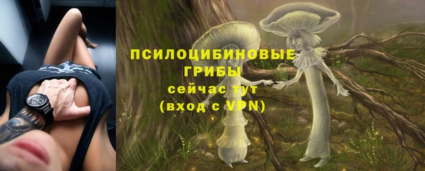 сатива Касимов