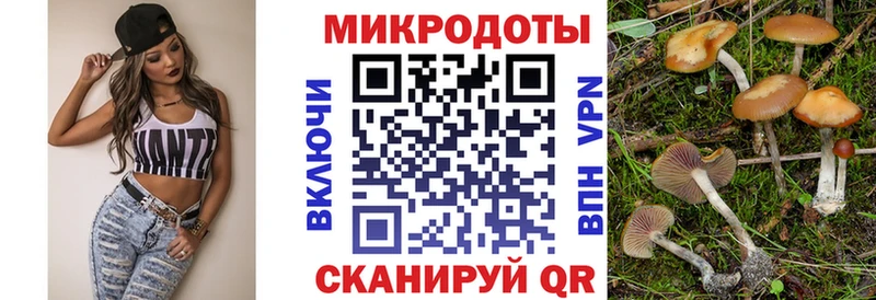 Галлюциногенные грибы Magic Shrooms  цены   Братск 