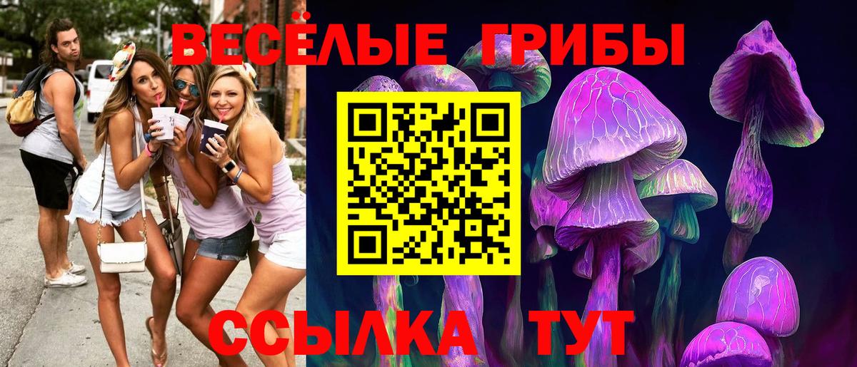 Галлюциногенные грибы Magic Shrooms Братск