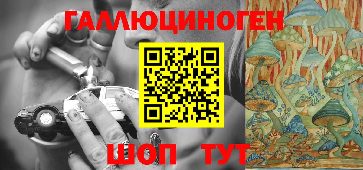 Братск  Галлюциногенные грибы Magic Shrooms  Галлюциногенные грибы Magic Shrooms  Вход с VPN 